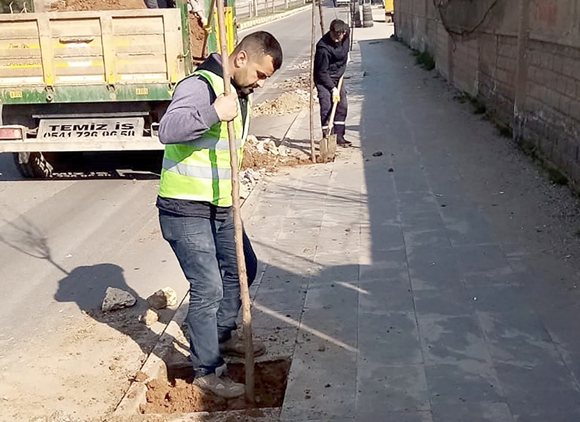 KALDIRIMLAR AĞAÇLANDIRILIYOR