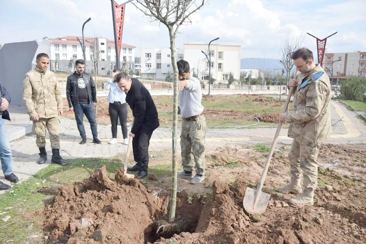 ŞEHİTLER PARKI AĞAÇLANDIRILDI