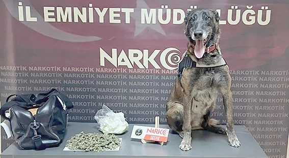 UYUŞTURUCU OPERASYONU: 247 GRAM SKUNK ELE GEÇİRİLDİ