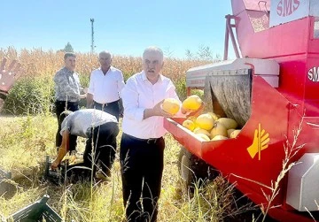 BALPINAR’DA ÇEREZLİK KABAK HASADI BAŞLADI