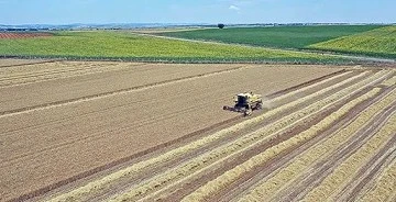 İŞLENMEYEN TARIM ARAZİLERİ KİRAYA VERİLECEK