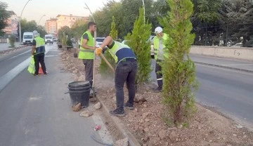 İSTASYON CADDESİNDE KALICI PEYZAJ DÜZENLEMESİ