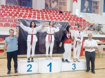 TAEKWONDO ŞAMPİYONASI SONA ERDİ