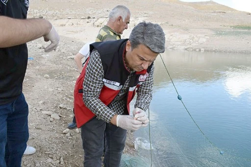 TOPLU BALIK ÖLÜMLERİNİ İNCELEMEK İÇİN UZMAN EKİP SAHADA